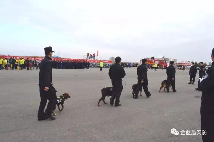 金藍(lán)盾河南鄧州分公司圓滿完成2017“馳誠(chéng)”杯中(圖6)